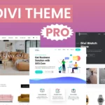 Divi Life Pro Themes Plugins and Layouts - Lifetime Auto Updates